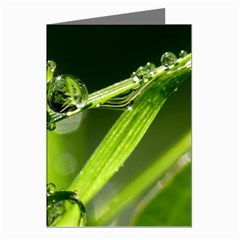 Waterdrops Greeting Card (8 Pack) by Siebenhuehner