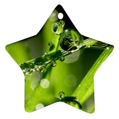 Waterdrops Star Ornament (two Sides) by Siebenhuehner