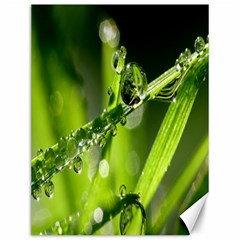 Waterdrops Canvas 12  X 16  (unframed)