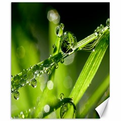 Waterdrops Canvas 20  X 24  (unframed)