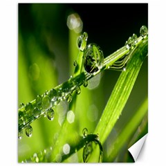 Waterdrops Canvas 11  X 14  (unframed)