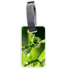 Waterdrops Luggage Tag (one Side) by Siebenhuehner