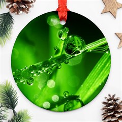 Waterdrops Round Ornament by Siebenhuehner