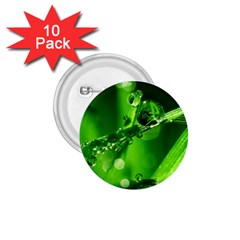 Waterdrops 1 75  Button (10 Pack)