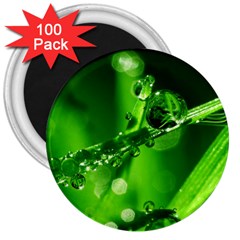 Waterdrops 3  Button Magnet (100 Pack) by Siebenhuehner