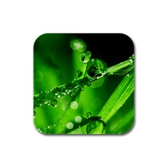 Waterdrops Drink Coasters 4 Pack (square) by Siebenhuehner