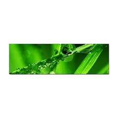 Waterdrops Bumper Sticker by Siebenhuehner