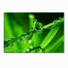 Waterdrops Postcard 4 x 6  (10 Pack) by Siebenhuehner