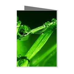 Waterdrops Mini Greeting Card (8 Pack) by Siebenhuehner