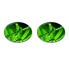 Waterdrops Cufflinks (oval)