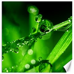 Waterdrops Canvas 16  X 16  (unframed) by Siebenhuehner