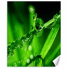 Waterdrops Canvas 16  X 20  (unframed) by Siebenhuehner