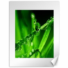 Waterdrops Canvas 36  X 48  (unframed) by Siebenhuehner