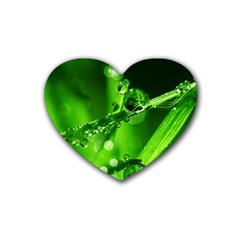 Waterdrops Drink Coasters (heart)