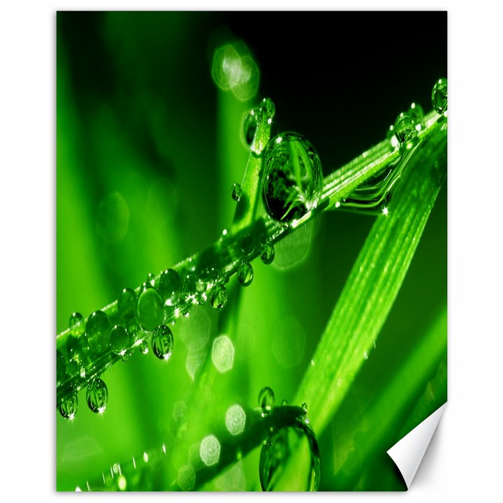 Waterdrops Canvas 11  x 14  (Unframed)