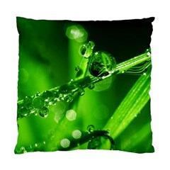 Waterdrops Cushion Case (two Sided)  by Siebenhuehner