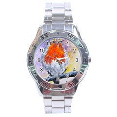 Robin Red Breast Stainless Steel Watch (men s)