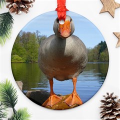 Geese Round Ornament by Siebenhuehner