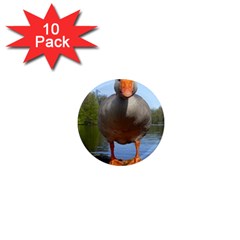 Geese 1  Mini Button Magnet (10 Pack) by Siebenhuehner