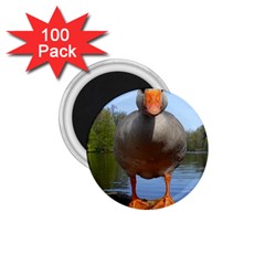 Geese 1 75  Button Magnet (100 Pack) by Siebenhuehner