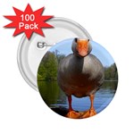 Geese 2.25  Button (100 pack) Front