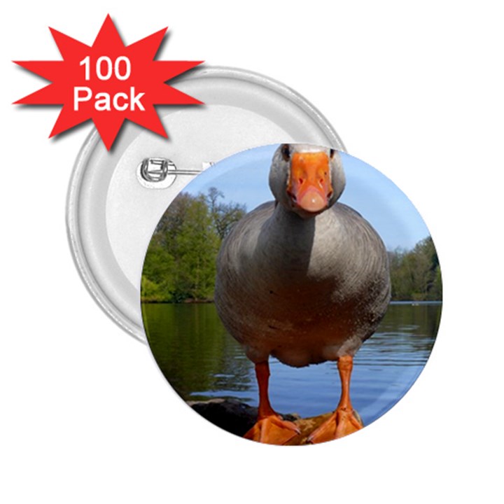 Geese 2.25  Button (100 pack)