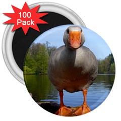 Geese 3  Button Magnet (100 Pack)