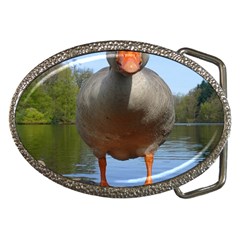 Geese Belt Buckle (oval) by Siebenhuehner