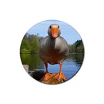 Geese Drink Coasters 4 Pack (Round) Front