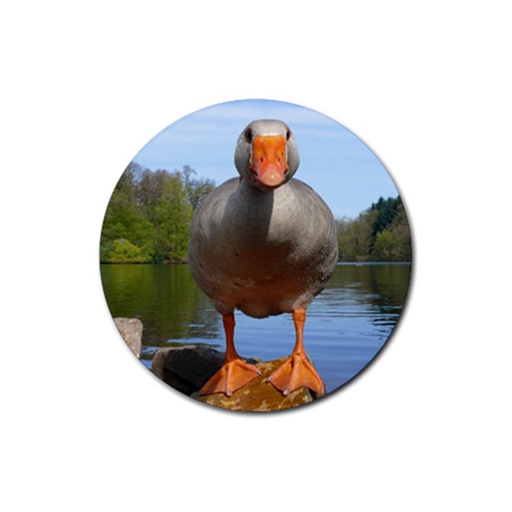 Geese Drink Coasters 4 Pack (Round)