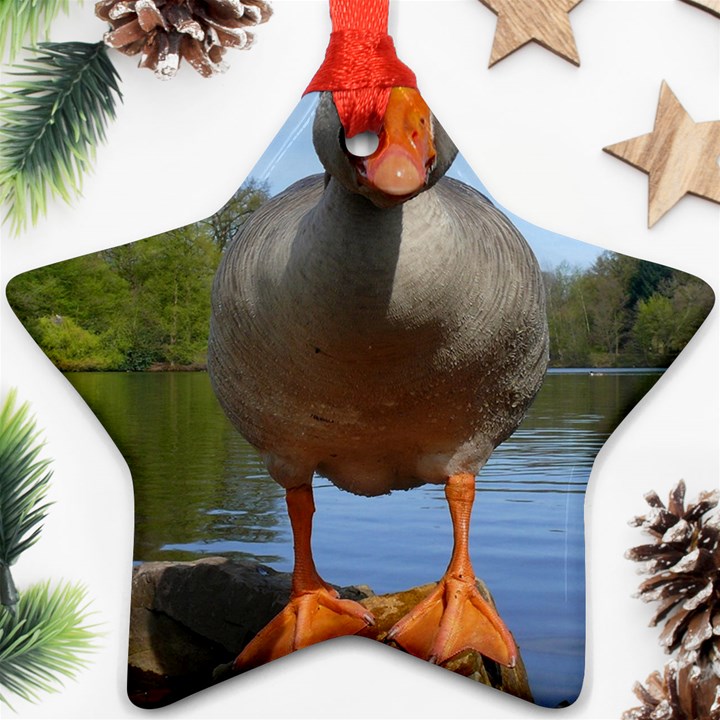 Geese Star Ornament (Two Sides)