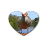 Geese Drink Coasters (Heart) Front