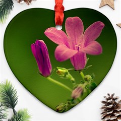 Campanula Close Up Heart Ornament by Siebenhuehner