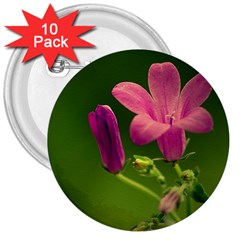 Campanula Close Up 3  Button (10 Pack) by Siebenhuehner