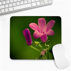 Campanula Close Up Large Mouse Pad (rectangle) by Siebenhuehner