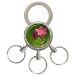 Campanula Close Up 3-Ring Key Chain Front