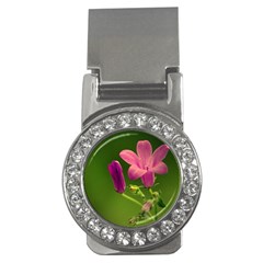 Campanula Close Up Money Clip (cz) by Siebenhuehner