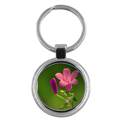 Campanula Close Up Key Chain (round) by Siebenhuehner