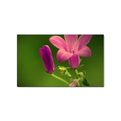 Campanula Close Up Sticker 10 Pack (rectangle) by Siebenhuehner