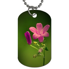 Campanula Close Up Dog Tag (two-sided)  by Siebenhuehner