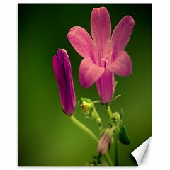 Campanula Close Up Canvas 16  X 20  (unframed) by Siebenhuehner