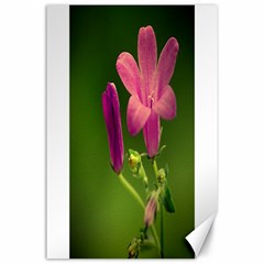 Campanula Close Up Canvas 24  X 36  (unframed) by Siebenhuehner