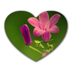 Campanula Close Up Mouse Pad (heart) by Siebenhuehner