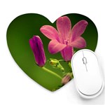 Campanula Close Up Mouse Pad (Heart) Front