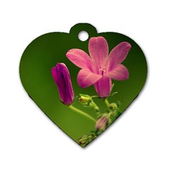 Campanula Close Up Dog Tag Heart (one Sided)  by Siebenhuehner