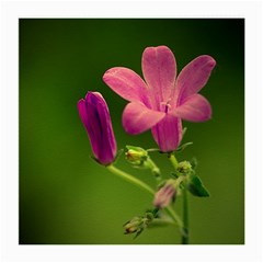 Campanula Close Up Glasses Cloth (medium) by Siebenhuehner