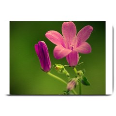 Campanula Close Up Large Door Mat by Siebenhuehner