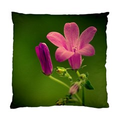 Campanula Close Up Cushion Case (two Sided)  by Siebenhuehner