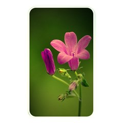 Campanula Close Up Memory Card Reader (rectangular) by Siebenhuehner