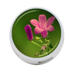 Campanula Close Up 4-port Usb Hub (two Sides) by Siebenhuehner